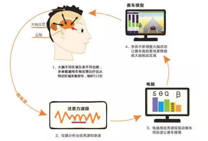 宝宝智力发育落后的表现和特征,如何提高智力11 宝宝智力发育落后的表现和特征,如何提高智力11